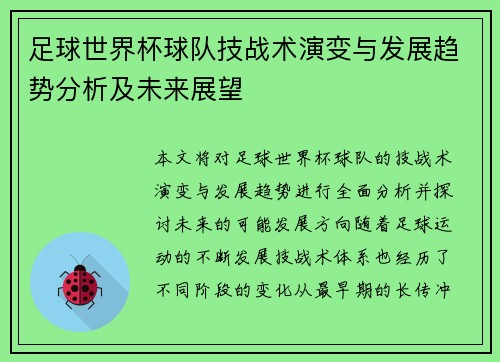 足球世界杯球队技战术演变与发展趋势分析及未来展望