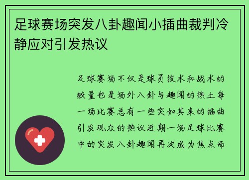 足球赛场突发八卦趣闻小插曲裁判冷静应对引发热议 足球赛场突发八卦趣闻小插曲裁判冷静应对引发热议
